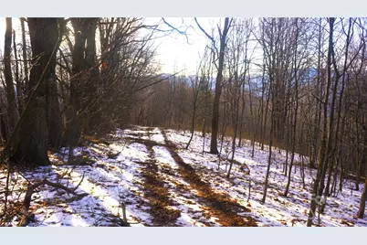 Sr-1386 W Sang Branch, Hog Branch Road W, Burnsville, NC 28714 - Photo 11