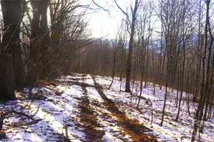 Sr-1386 W Sang Branch Hog Branch Road W, Burnsville, NC 28714 - Photo 11