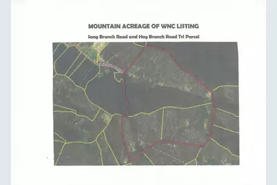 Sr-1386 W Sang Branch, Hog Branch Road W, Burnsville, NC 28714 - Photo 15