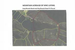 Sr-1386 W Sang Branch Hog Branch Road W, Burnsville, NC 28714 - Photo 15