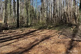 584 Chatuge Village Cir, Hayesville, NC 28904 - Photo 3