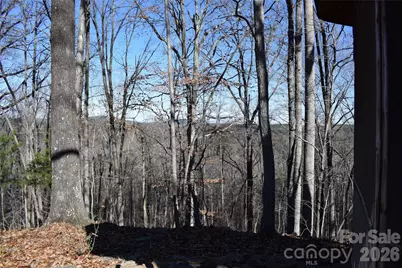 228 Wildwood Lane, Columbus, NC 28722 - Photo 45