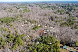 530 Ole Simpson Pl, Catawba, SC 29704 - Photo 35