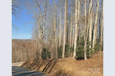 0 Dragonfly Court #Lot 3, Spruce Pine, NC 28777 - Photo 3