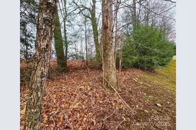 0 Dragonfly Court #Lot 3, Spruce Pine, NC 28777 - Photo 13