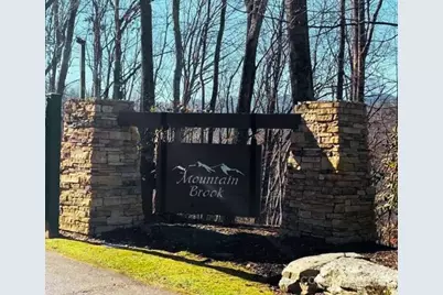 0 Dragonfly Court #Lot 3, Spruce Pine, NC 28777 - Photo 1