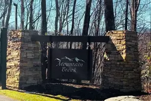 0 Dragonfly Ct, Spruce Pine, NC 28777 - Photo 1