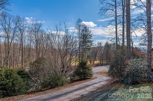 2746 Turnpike Rd, Horse Shoe, NC 28742 - Photo 25