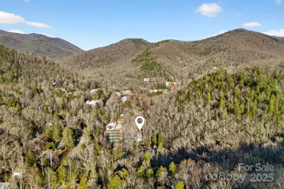 308 Texas Road, Montreat, NC 28711 - Photo 47