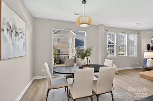 11008 Burnt Leather Ln, Charlotte, NC 28277 - Photo 15