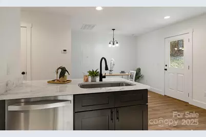 386 Holtzclaw Street, Canton, NC 28716 - Photo 19