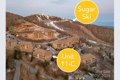 120 Pleasant View Boulevard, Sugar Mountain, NC 28604 - Photo 37