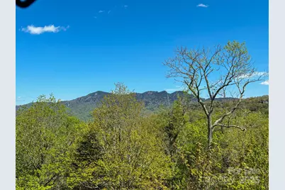 120 Pleasant View Boulevard, Sugar Mountain, NC 28604 - Photo 21