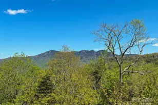 120 Pleasant View Blvd, Sugar Mountain, NC 28604 - Photo 21