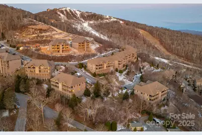 120 Pleasant View Boulevard, Sugar Mountain, NC 28604 - Photo 43