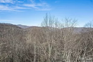 171 Sharons Bluff, Franklin, NC 28734 - Photo 41