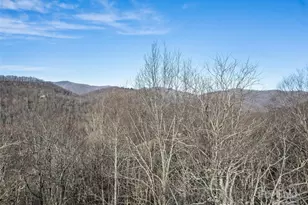 171 Sharons Bluff, Franklin, NC 28734 - Photo 41