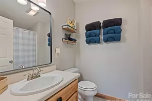 171 Sharons Bluff, Franklin, NC 28734 - Photo 29
