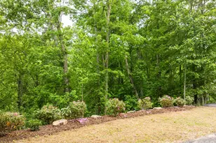 131 Bryce Wy, Boone, NC 28607 - Photo 37