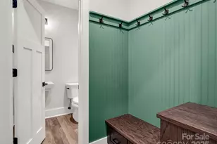 331 Chisholm Trail, Rutherfordton, NC 28139 - Photo 17