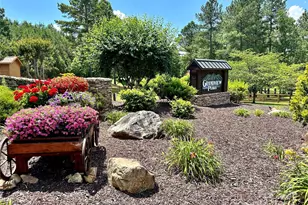 1143 Grandview Peaks Dr, Nebo, NC 28761 - Photo 47