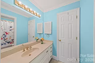 2914 Cherry Blossom Ct, Fort Mill, SC 29715 - Photo 19