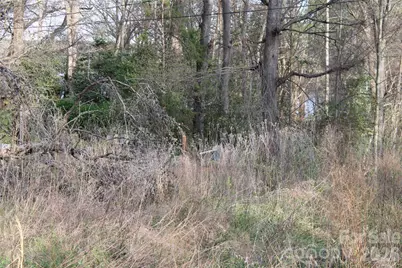 Lot 16 Lake Front Drive, Catawba, NC 28609 - Photo 21