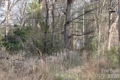 Lot 16 Lake Front Drive, Catawba, NC 28609 - Photo 23
