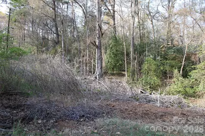 Lot 16 Lake Front Drive, Catawba, NC 28609 - Photo 13