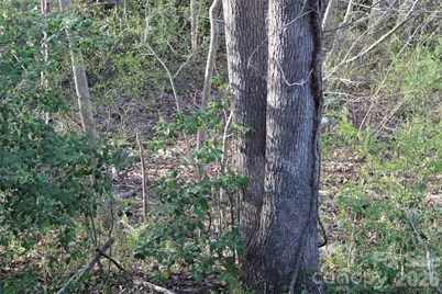 Lot 16 Lake Front Drive, Catawba, NC 28609 - Photo 35