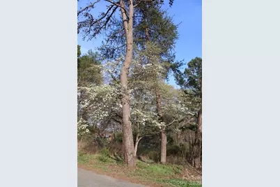 Lot 16 Lake Front Drive, Catawba, NC 28609 - Photo 27