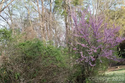 Lot 16 Lake Front Drive, Catawba, NC 28609 - Photo 33