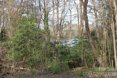 Lot 16 Lake Front Drive, Catawba, NC 28609 - Photo 11