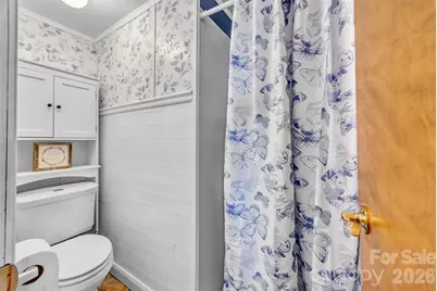 280 Forest Acres Lane, Taylorsville, NC 28681 - Photo 19