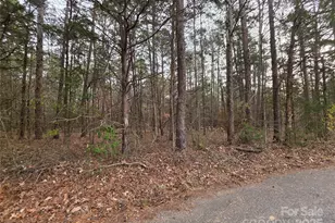 00 Lynn Circle, Lancaster, SC 29720 - Photo 3