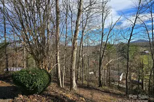 129 Oak Trails Pass, Leicester, NC 28748 - Photo 9