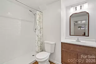 29 Alexander St, Black Mountain, NC 28711 - Photo 43