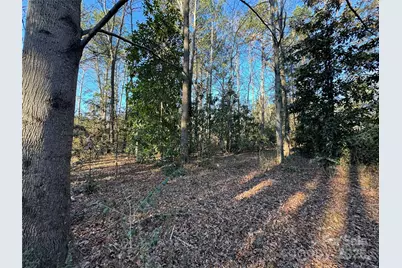 0000 Dogwood Lane #LOTS 4/5, Badin, NC 28009 - Photo 5
