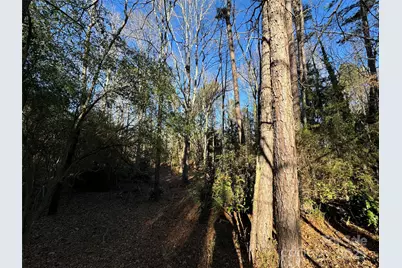 0000 Dogwood Lane #LOTS 4/5, Badin, NC 28009 - Photo 3