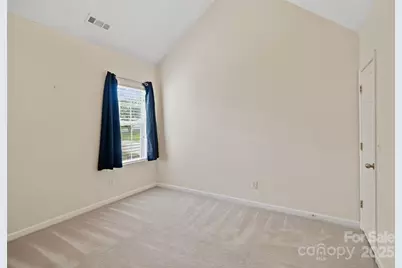 233 Tributary Drive, Rock Hill, SC 29732 - Photo 19