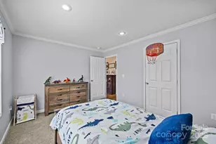 247 Aden Green Rd, Mill Spring, NC 28756 - Photo 29