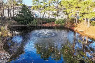 15070 Deshler Ct, Charlotte, NC 28273 - Photo 35