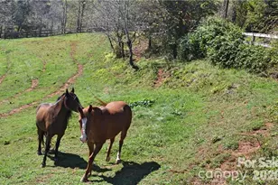 40 & 44 Chambers Dr, Weaverville, NC 28787 - Photo 41