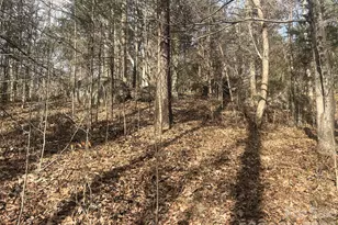 11443 Mooresville Rd, Davidson, NC 28036 - Photo 17