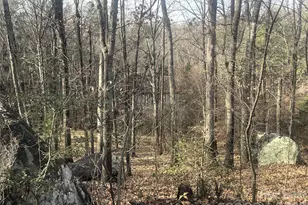 11443 Mooresville Rd, Davidson, NC 28036 - Photo 11