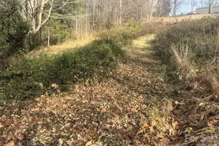 11443 Mooresville Rd, Davidson, NC 28036 - Photo 9