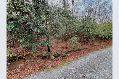 00 Lazy Bear Trail #35-36, Hendersonville, NC 28792 - Photo 13