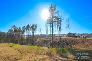 1406 Caracara Ct, Belmont, NC 28012 - Photo 29