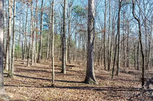 7236 Corn Hill Rd, Connelly Springs, NC 28612 - Photo 5