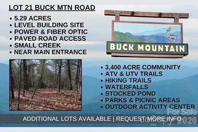 Tbd Buck Mountain Road #21, Purlear, NC 28665 - Photo 1